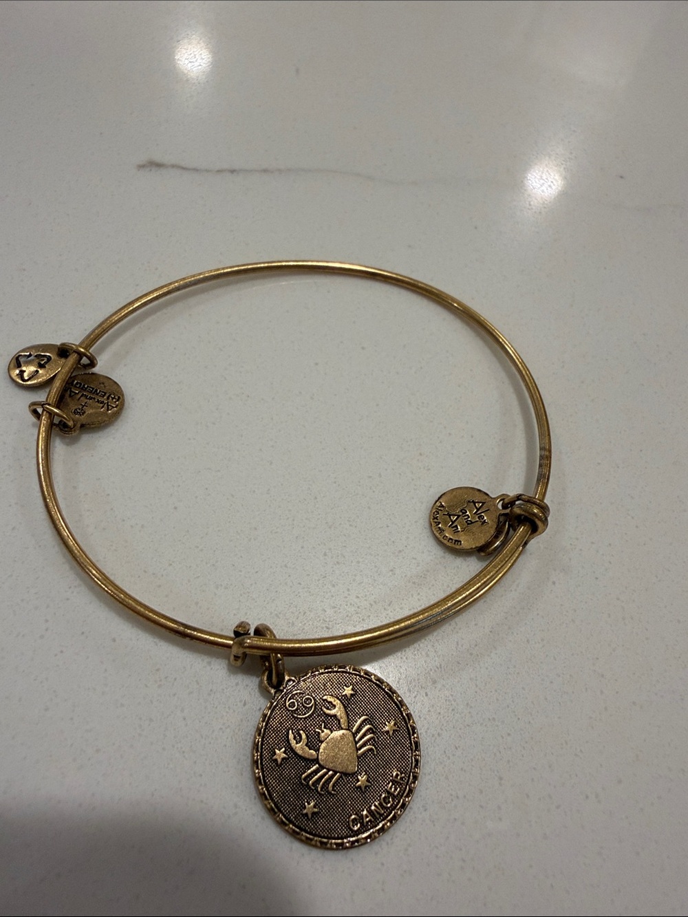 Alex and Ani Gold Cancer Zodiac Charm Bangle